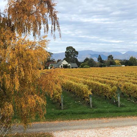 Vineyard Cottage In Blenheim On The Golden Mile Eksteriør billede