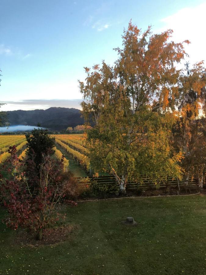 Vineyard Cottage In Blenheim On The Golden Mile Eksteriør billede