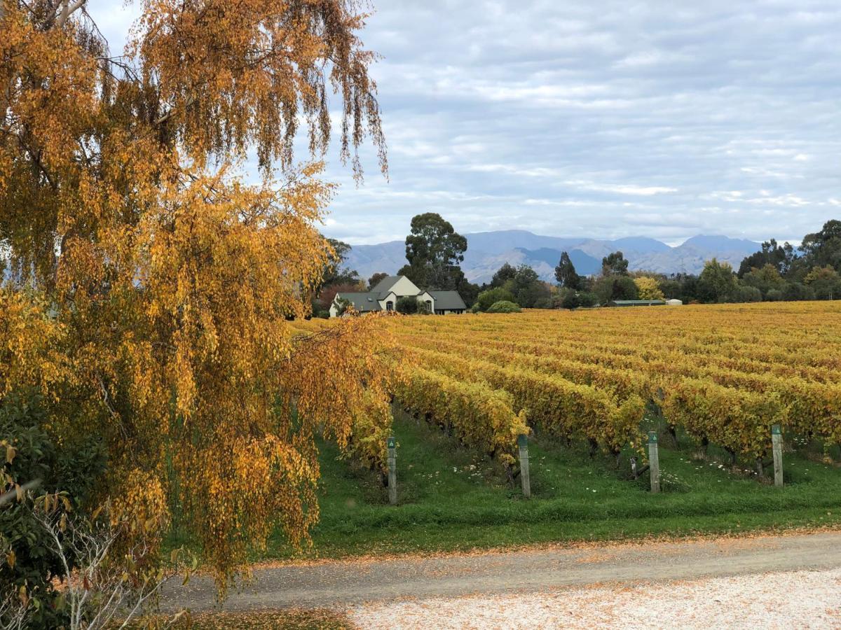 Vineyard Cottage In Blenheim On The Golden Mile Eksteriør billede
