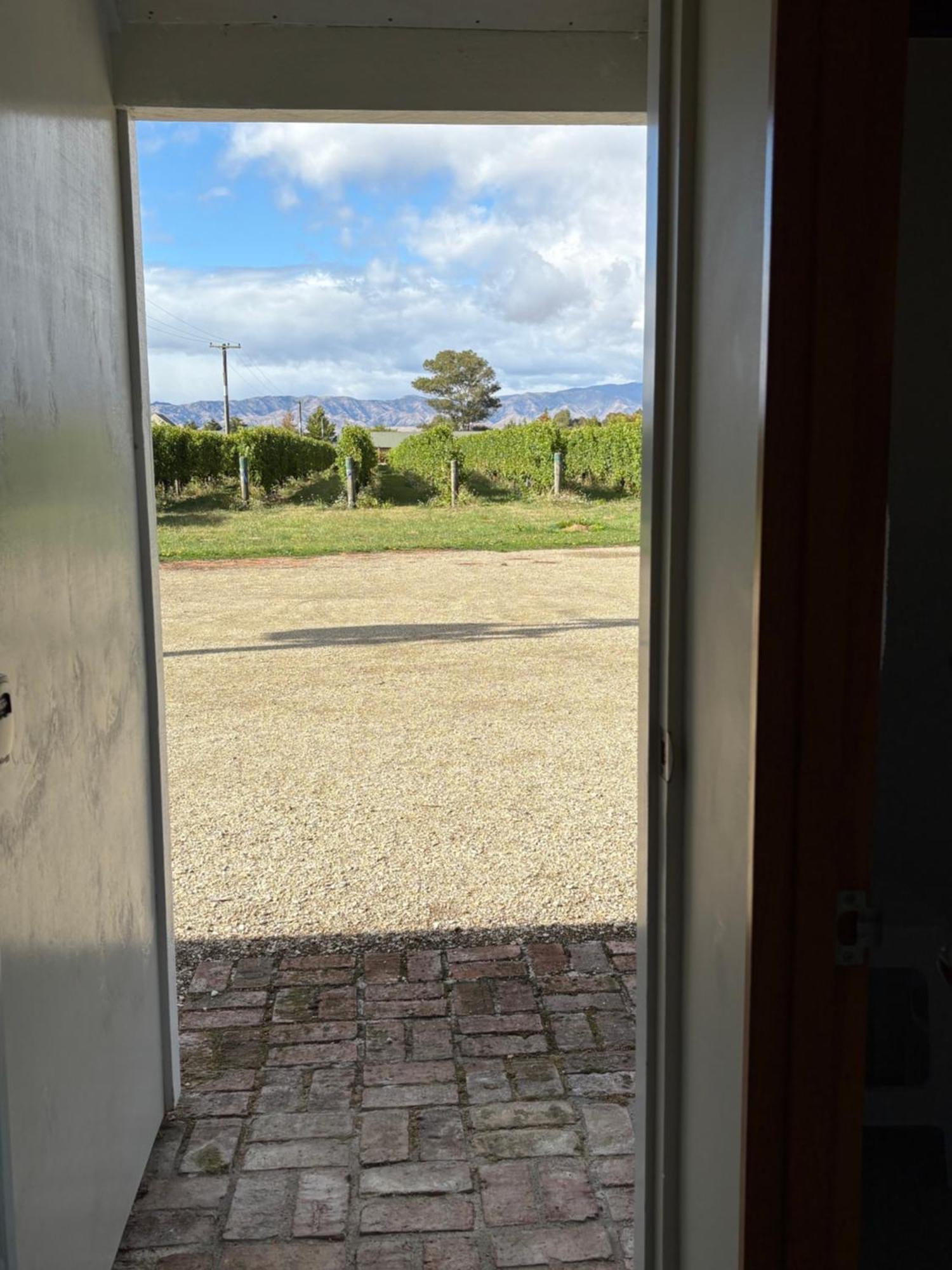 Vineyard Cottage In Blenheim On The Golden Mile Eksteriør billede